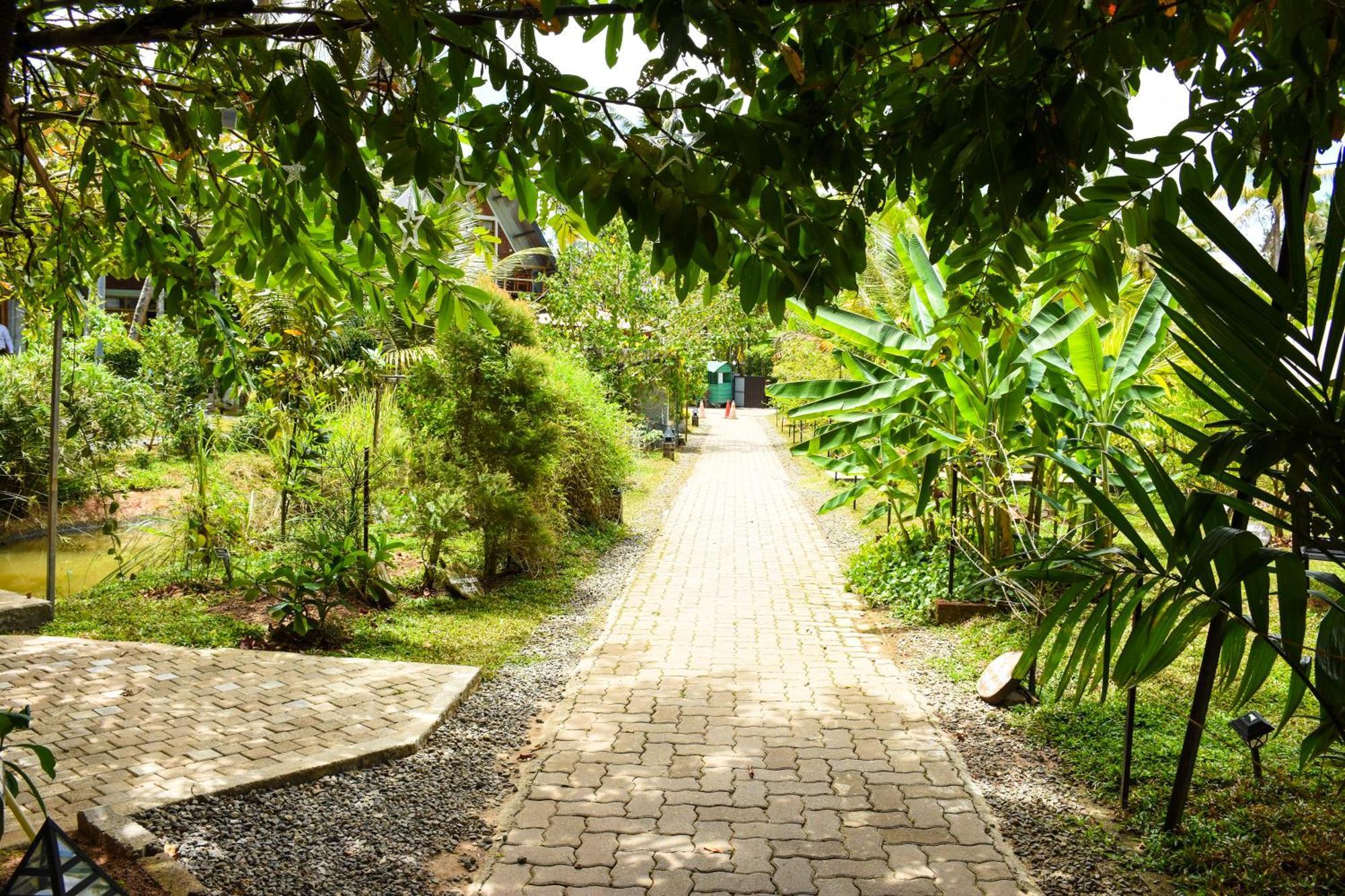Steps Garden Resort Negombo Ngoại thất bức ảnh